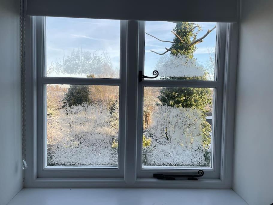 Delightful Ely House Bright And Warm With Cathedral View Lägenhet Exteriör bild